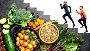 Transform Your Health Now 