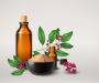 Pure Power of Camphor Essential Oil