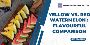 Discover the Sweetness of Yellow Watermelon