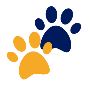 Groom Like a Pro with the Best Paw Trimmers for Dogs!