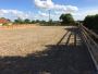 The Ultimate Guide to Equestrian Sports and Training
