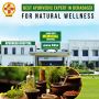 Find the Best Ayurvedic Expert in Derabassi for Natural Well