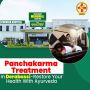 Top Panchakarma Treatment in Derabassi – Safe, Natural, Effe