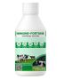 Immune Fortune – The Best Immune Supplement for Cows