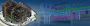 How MEP Coordination Prevents Costly Delays in Construction 