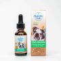 Pet CBD for Travel Anxiety