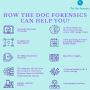 The Doc Forensics: Intelligent Document Processing Solution