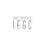 Leading Immigration Company in Chandigarh - IEGC
