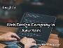 Top Web Design Company in New York – Insightful Technologies