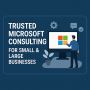 Trusted Microsoft Consulting for Small & Large Businesses