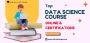Top Data Science Course Online & Certifications