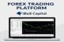 Forex Trading Platform: Your Gateway To The Global Currency 