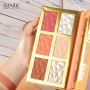 Highlighter Palette