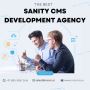 Streamline Your Content With Sanity Cms Development Agency