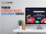 Ecommerce Web Development in India 