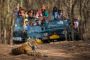 Luxury Tiger Safari in India Luxury Tiger Safari in India