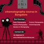 cinematography course in Bangalore cinematography course in Bangalore