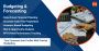 Professional Budget and Forecasting Services