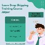 Learn Drop Shipping Training Course Jaipur-Infonic Training