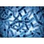 PGT-M Preimplantation Genetic Testing