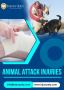 Recover Better from Animal Attack Injuries with Us