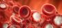 Innayat Medical: Your Best Medical Tourism Partner in India