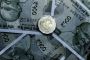 Avoiding Common Mistakes When Taking Out a Loan? Avoiding Common Mistakes When Taking Out a Loan?