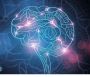 Brain Mapping Therapy