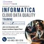 Informatica Cloud Data Quality (CDQ) Training | IT Training