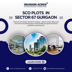 Invest in SCO Plots in Sector 67 Gurgaon for High Returns (G
