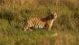 Kanha national park Tikit booking