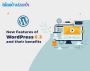 Top White-Label Agency for WordPress & Shopify | IW