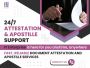 Document Translation Services in Mumbai | Iy Enterprise