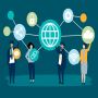 Best Software Companies for 2024