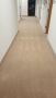 Professional Carpet Cleaning Experts in Sherman Oaks