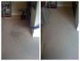 Studio City’s #1 Carpet Cleaning Service