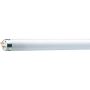 Shop Philips Lighting 927922184023 T8 Fluorescent Tubes | En
