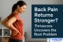 Back Pain Returns Stronger? Thrivecore Uncovers the Root Pro
