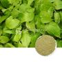 Wholesale Organic Horny Goat Weed Powder