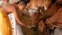 Cow Protection in Hyderabad
