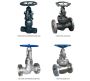 Reliable Globe Valve Supplier