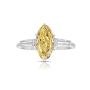 Timeless Beauty with a Stunning Diamond Engagement Ring Timeless Beauty with a Stunning Diamond Engagement Ring