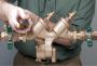 Professional Backflow Solutions LLC: Protecting Your Water S