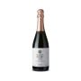 Buy Wholesale Italian wines from Umbria – Vino Pazzo