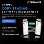 Create Your Cutting-Edge Crypto Copy Trading Software 