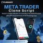 Build Your Forex Trading App with MetaTrader Clone Script
