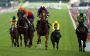 Get The Edge Betting Tips Get The Edge Betting Tips