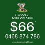 Lawn Mowing 99