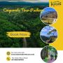 Top Corporate Tour Package for Team Outings & Events Top Corporate Tour Package for Team Outings & Events