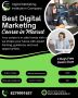 The Complete Guide to Choosing a Digital Marketing Institute